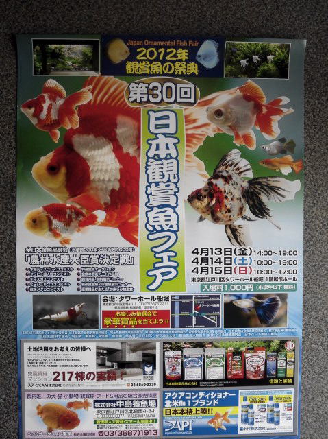 第30回 日本観賞魚フェア