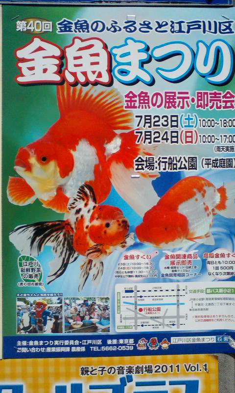 第４０回　江戸川区特産　金魚まつり