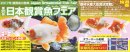 画像: 第３５回 日本観賞魚フェアー