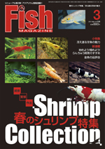 画像: フィッシュマガジン２０１１年３月号