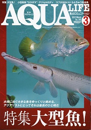 画像: アクアライフ 　２０１２年３月号