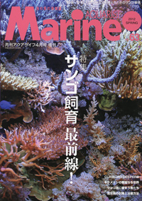 画像: Marine AQUARIST No.63