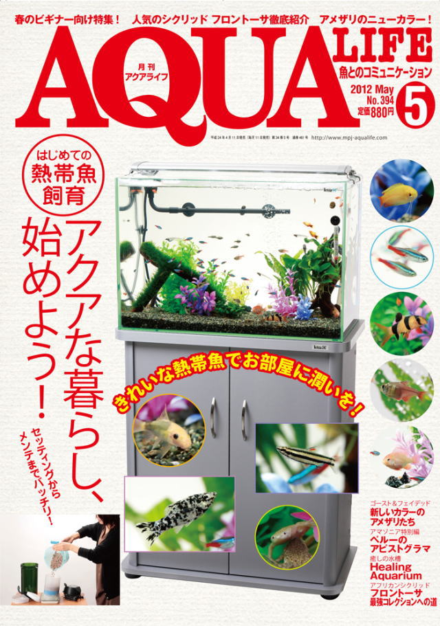 画像: アクアライフ ２０１２年５月号