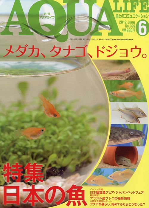 画像: アクアライフ２０１２年６月号