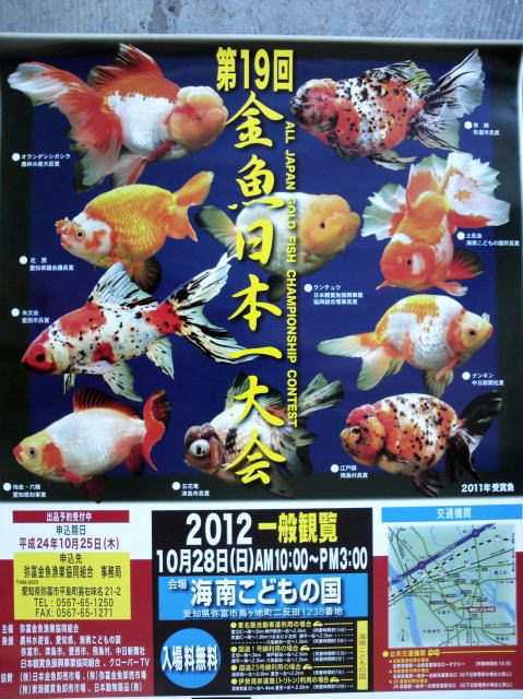 画像: 第１９回　金魚日本一大会