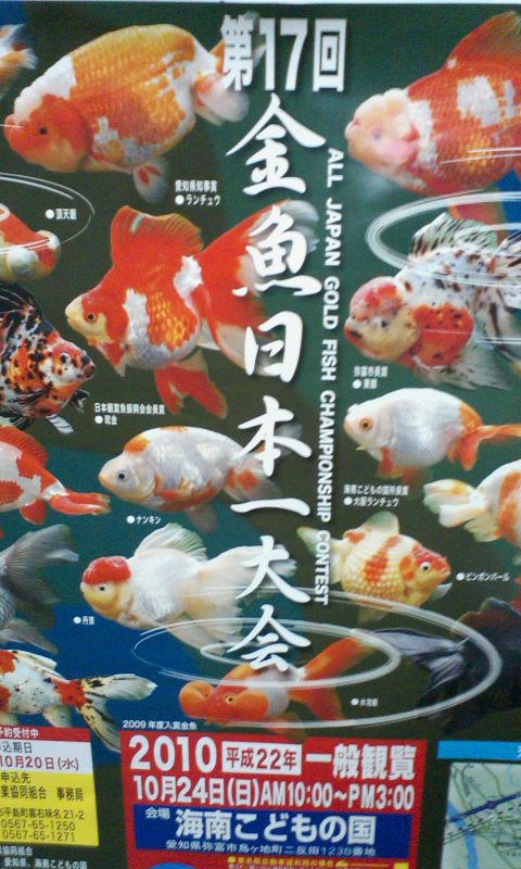 画像: 第１７回　金魚日本一大会