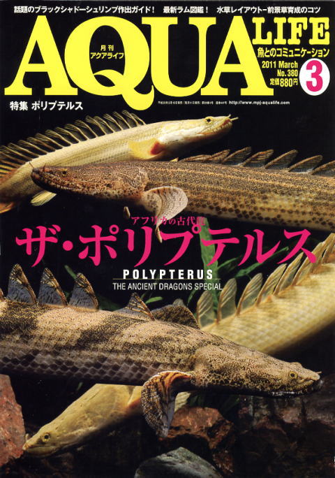 画像: アクアライフ２０１１年３月号