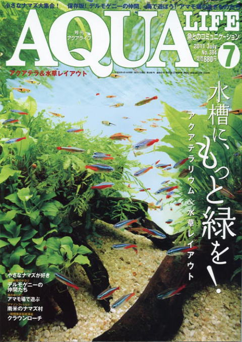 画像: アクアライフ２０１１年７月号